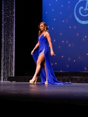 Panoply Dress Size 6